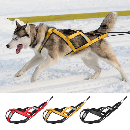 Working dog Harness Pet Weight Pulling Sledding Harness Mushing X Back Harness For Large Dogs Husky Canicross Skijoring Scootering