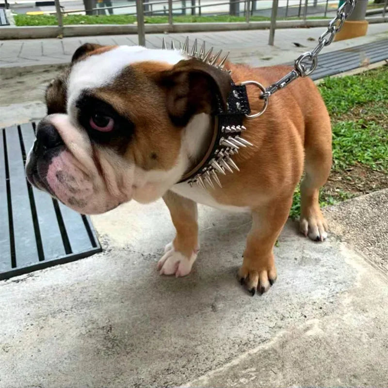 Fashionable Rivet Pet Collar Large Dog Collar For Fat Puppy Leashes For Bulldog Pug Stainless Steel Dog Chain Pet Products