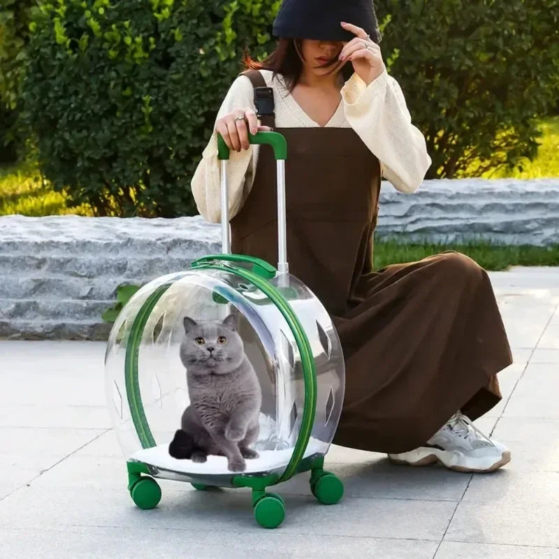 Puppy Move Trolley Cat Carriers Transparent Pet Backpack Animal Transportation and Goods for Travel Pet Supplies with Wheels