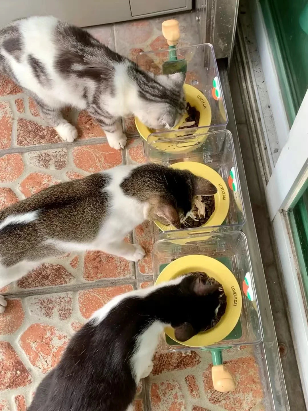 Pet Bowl with Booster Stand Protects Neck Spine Prevents dog Food Spills Suitable for Multi-dog Households No Food Grabbing