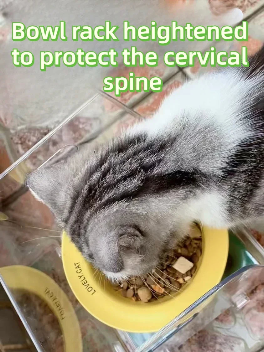 Pet Bowl with Booster Stand Protects Neck Spine Prevents dog Food Spills Suitable for Multi-dog Households No Food Grabbing