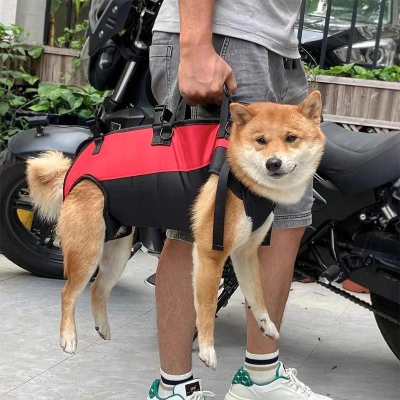 Dog Going Out Bag Big Dog Motorcycle Pet Backpack Going Out Backpack Carrying Bag Strap Fixation Bag