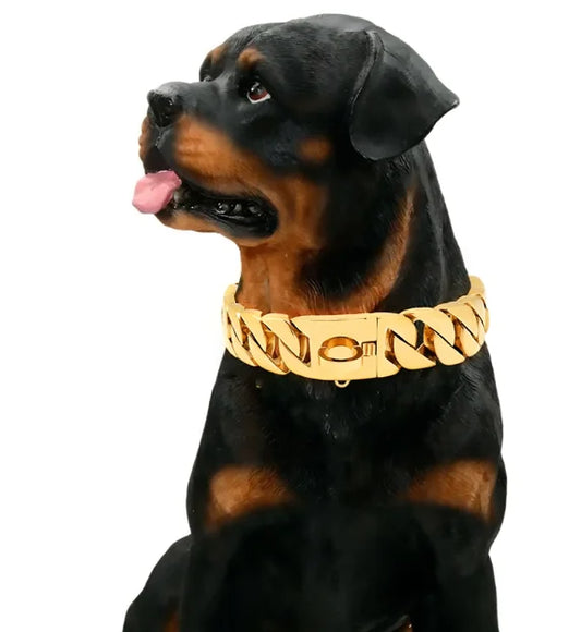 THE STUPID CUBAN Stainless Steel Large Dog Neck Collar Golden Dog Chain Bully Bully Dog DeMu Rottweiler